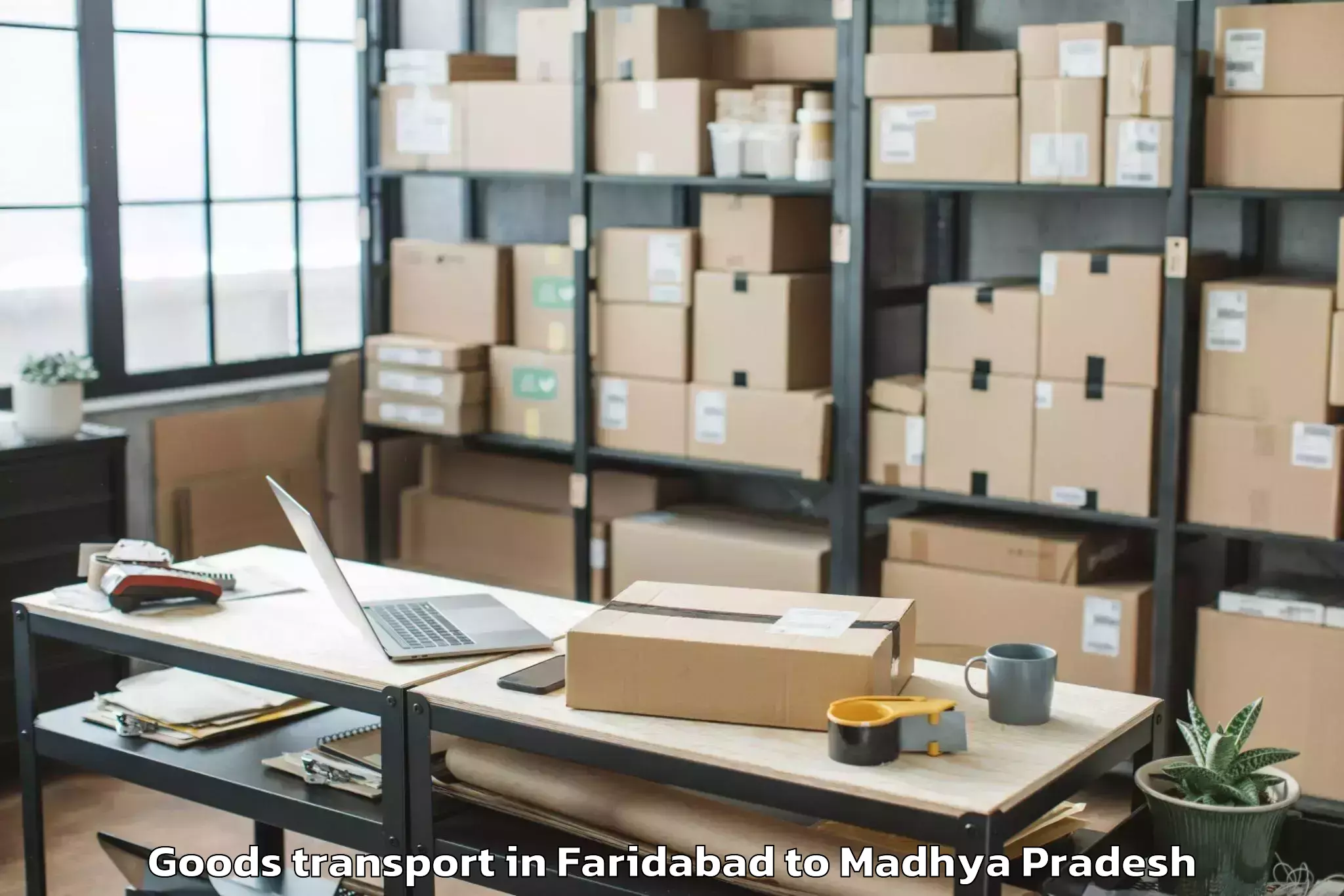 Easy Faridabad to Dhar Goods Transport Booking